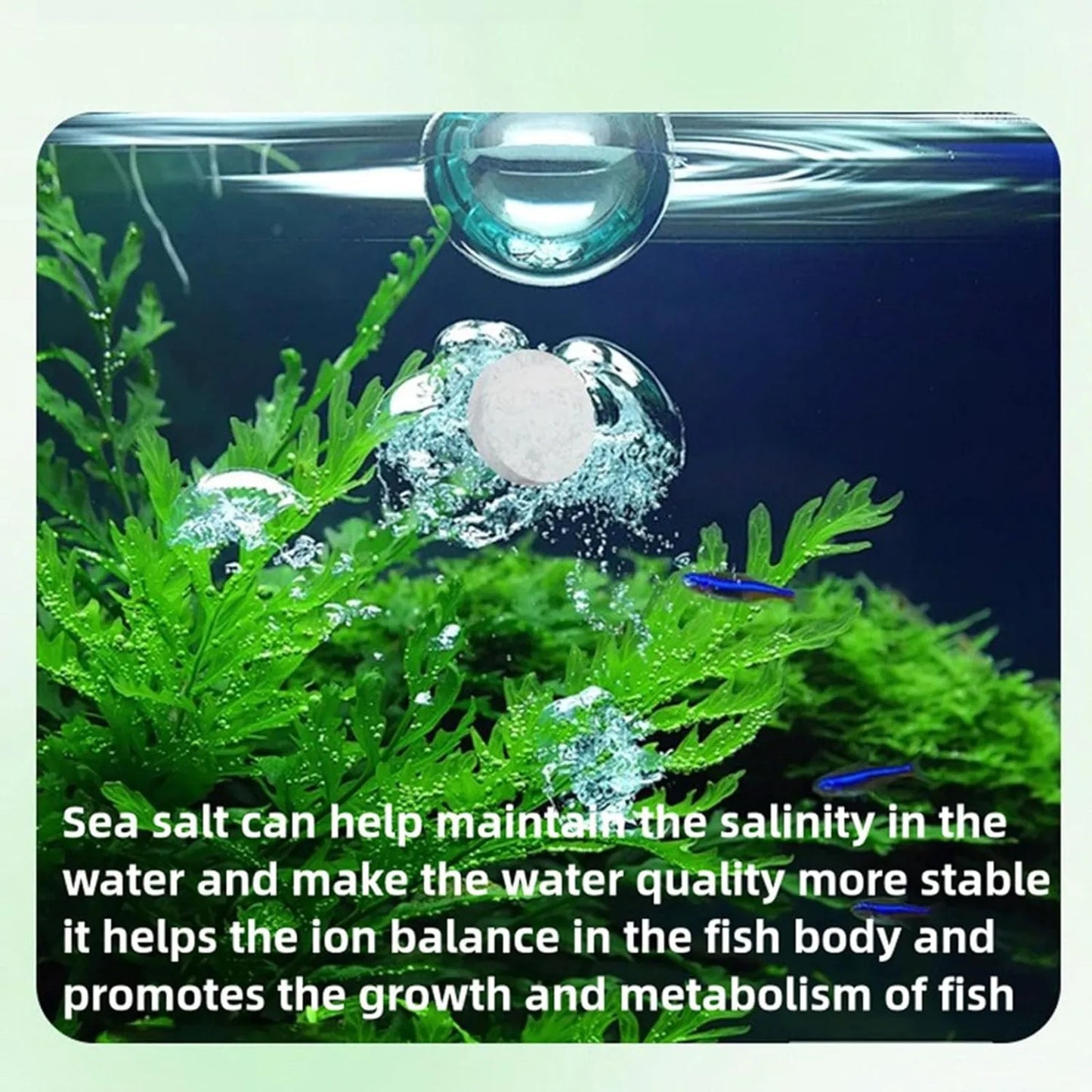 Water Purification Tablets Freshwater Aquarium Water Clarifier Tablet Effective Fish Bowl Cleaning Solution For Home Shop Store