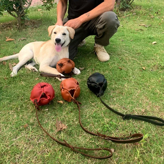 Leather Dog Training Ball Toy with Handle for Fetch Play