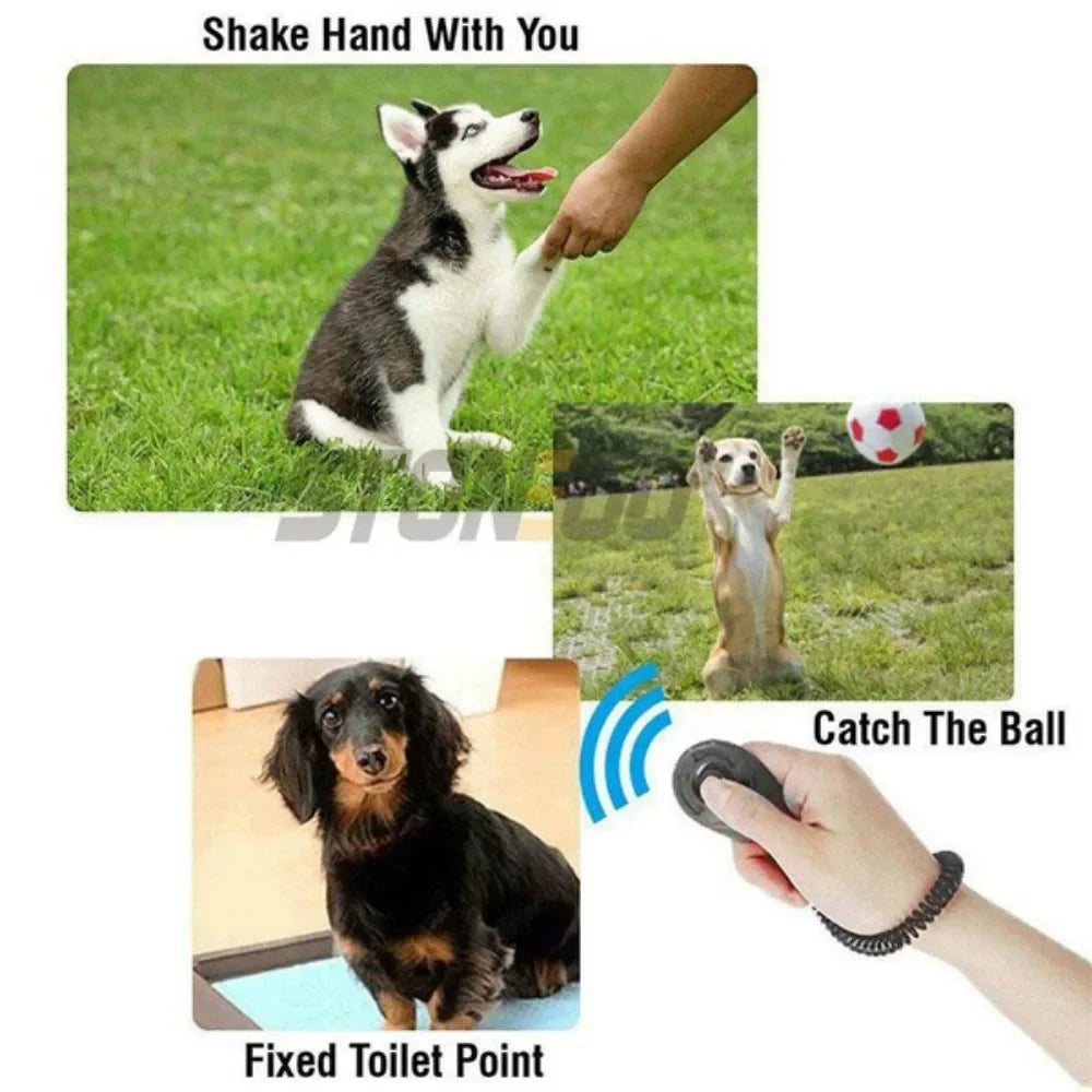 JJYY Solid Color Adjustable Pet Training Clicker Whistle