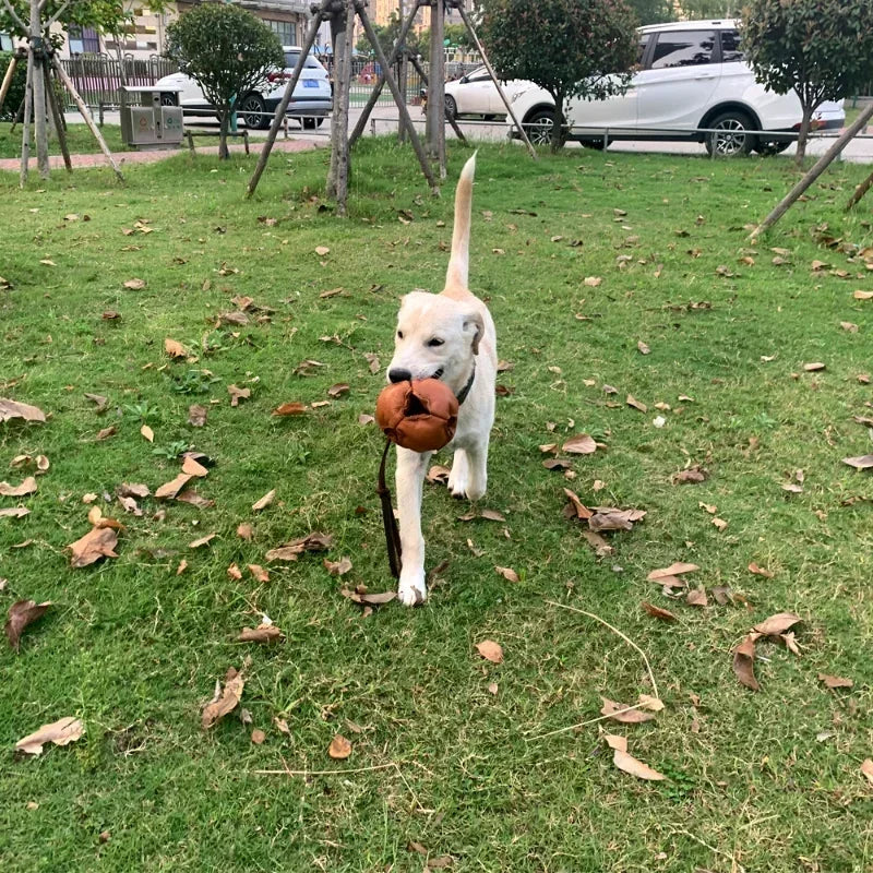 Leather Dog Training Ball Toy with Handle for Fetch Play