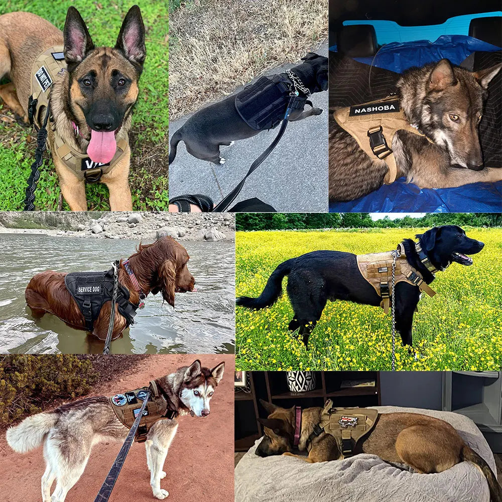 Tactical Dog Harness Leash Set for Large Dogs No Pull